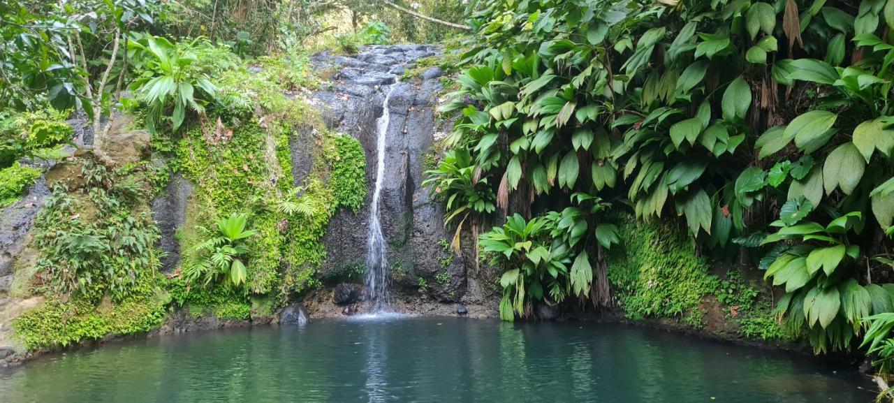 Gite Kaz A Topaze, Piscine, Jardin Tropical Sainte-Rose Esterno foto